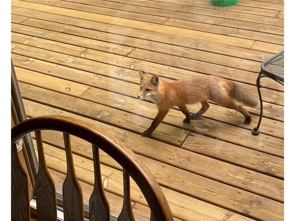 51070 Lake Six Road Hobart Twp MN 56544 6822216 image32