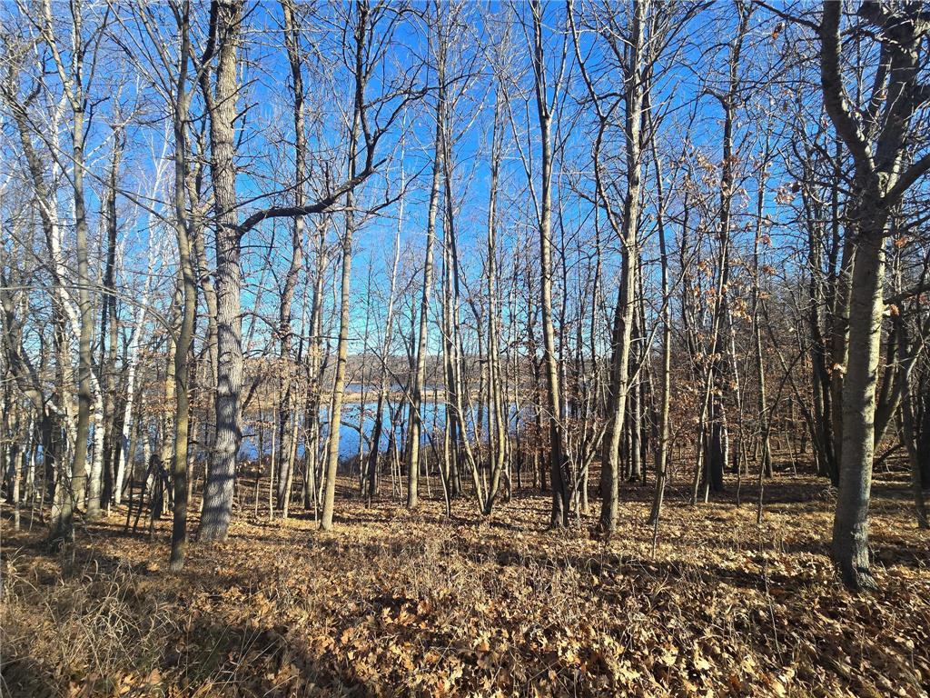 51070 Lake Six Road Hobart Twp MN 56544 7032493 image40