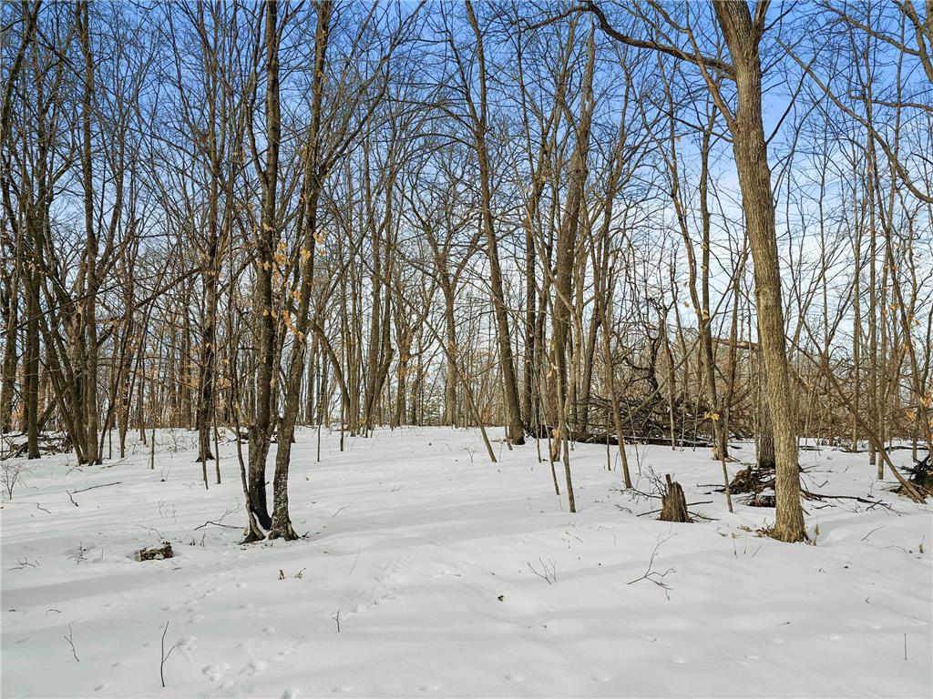 51132 340th St New York Mills MN 56567 7033664 image54