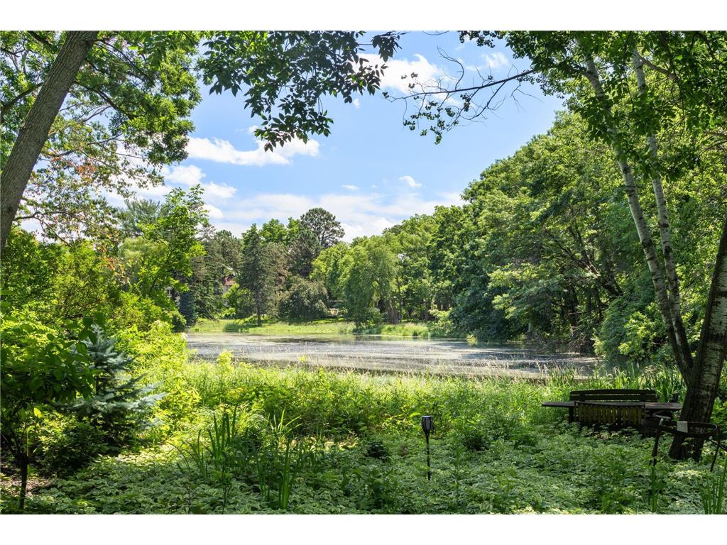 5117 Schaefer Road Edina MN 55436 6614302 image83