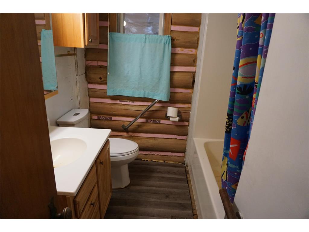 51183 Timberwolf Trail Sinclair Twp MN 56676 - Clearwater 7035859 image10