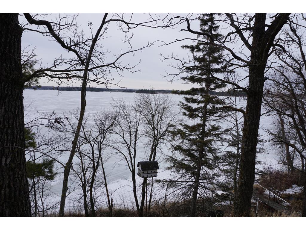 51183 Timberwolf Trail Sinclair Twp MN 56676 - Clearwater 7035859 image2