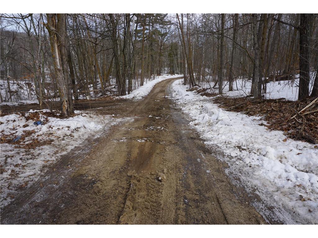 51183 Timberwolf Trail Sinclair Twp MN 56676 - Clearwater 7035859 image23