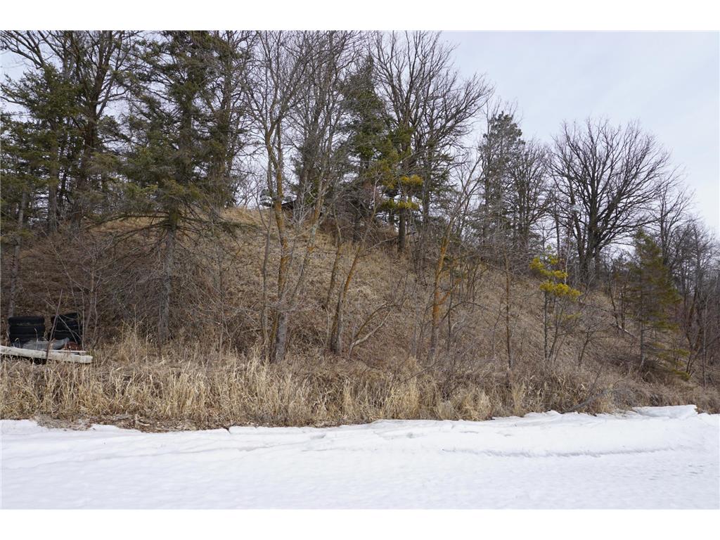 51183 Timberwolf Trail Sinclair Twp MN 56676 - Clearwater 7035859 image30