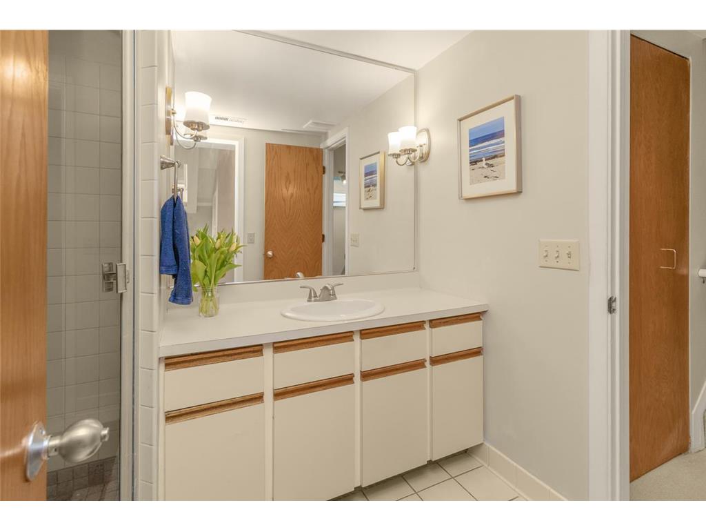 512 Laurel Avenue #5 Saint Paul MN 55102 7054493 image18
