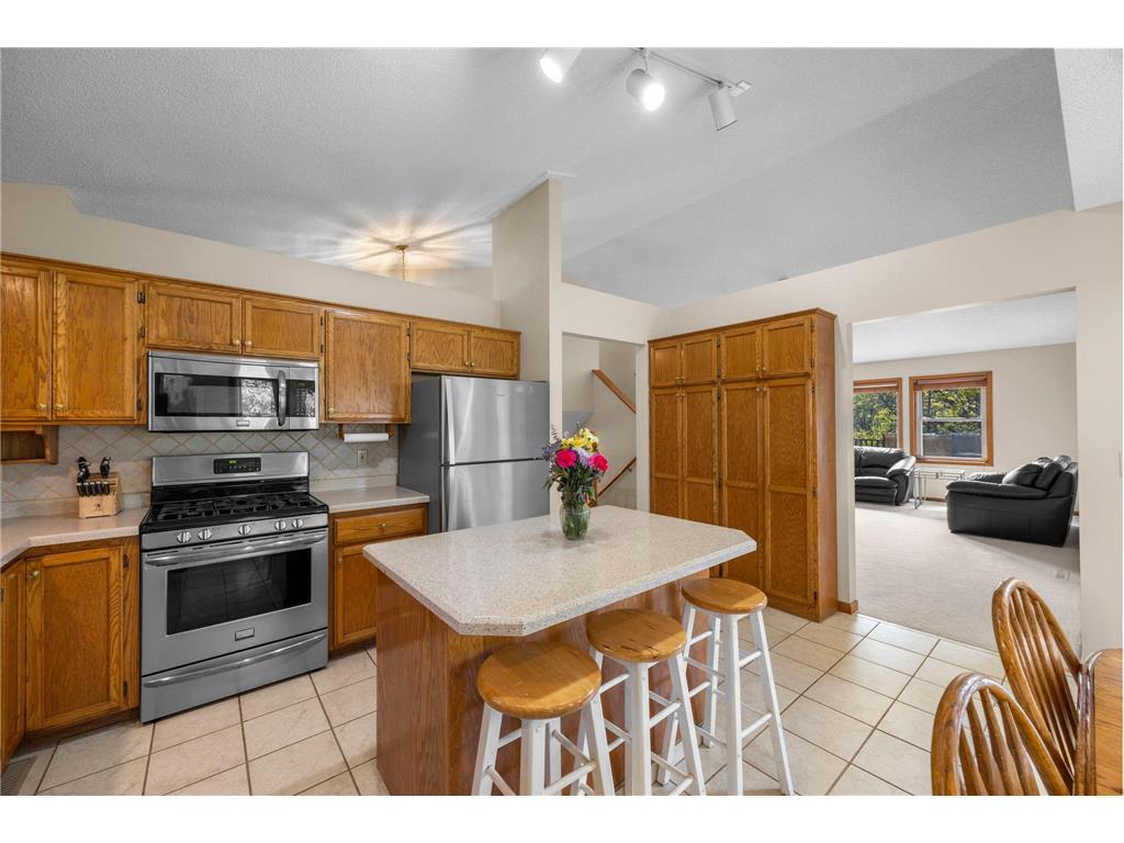 5120 149th Lane NW Ramsey MN 55303 6825945 image14