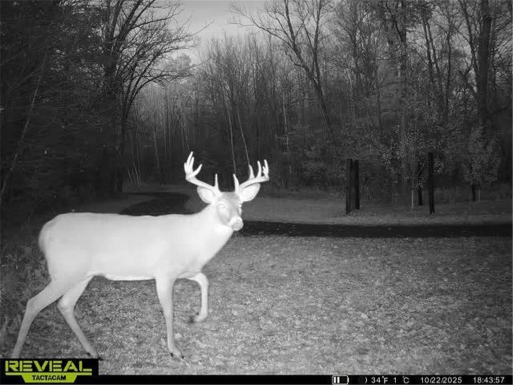 5121 Dake Road Siren WI 54872 - Clam River 7096862 image61
