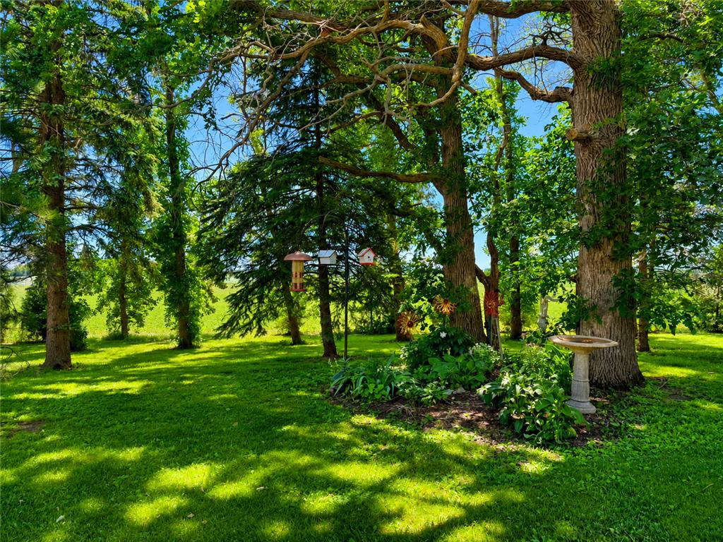 5121 Highway 30 E Blooming Prairie MN 55917 7093392 image35