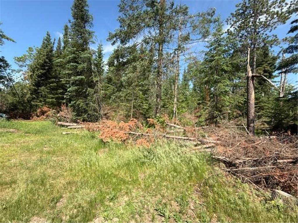 51215 Wildwood Road Farden Twp MN 56633 7088796 image3