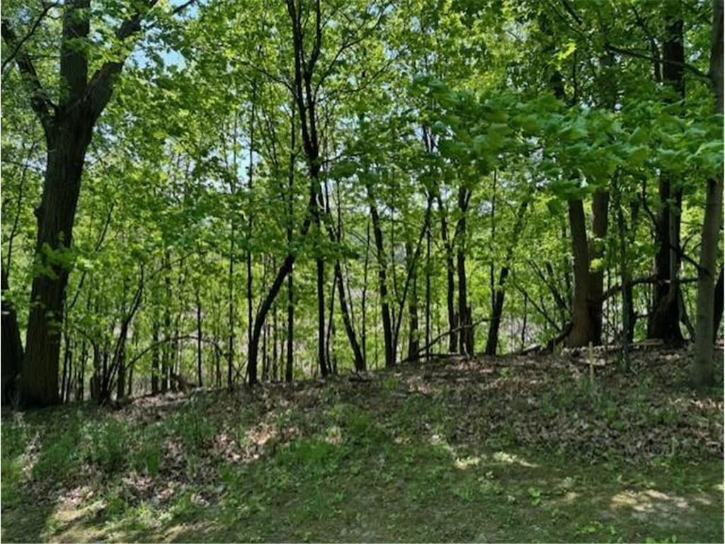 5123 Waterbury Road Mound MN 55364 - Lake Minnetonka 6778446 image18