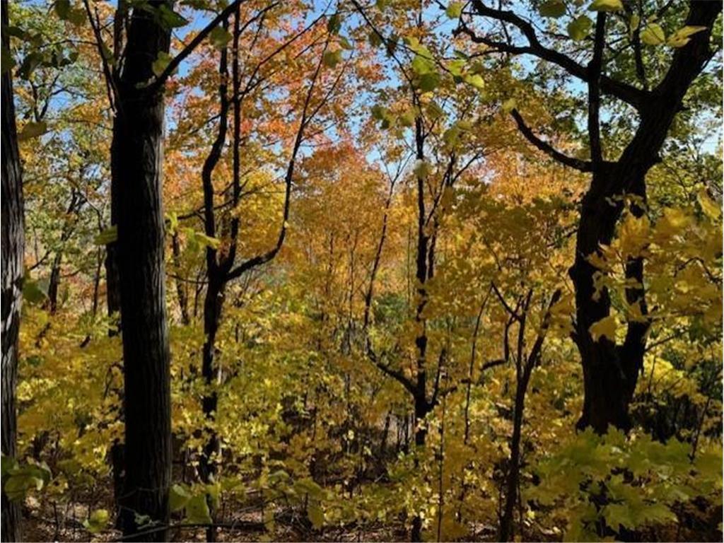 5123 Waterbury Road Mound MN 55364 - Lake Minnetonka 6778446 image21