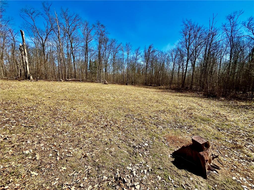 51246 Old Mill Drive Carsonville Twp MN 56570 7068904 image11