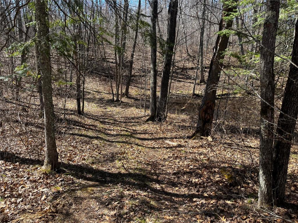 51246 Old Mill Drive Carsonville Twp MN 56570 7068904 image3