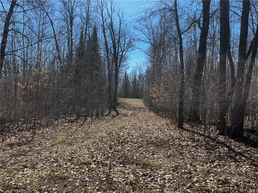 51246 Old Mill Drive Carsonville Twp MN 56570 7068904 image4