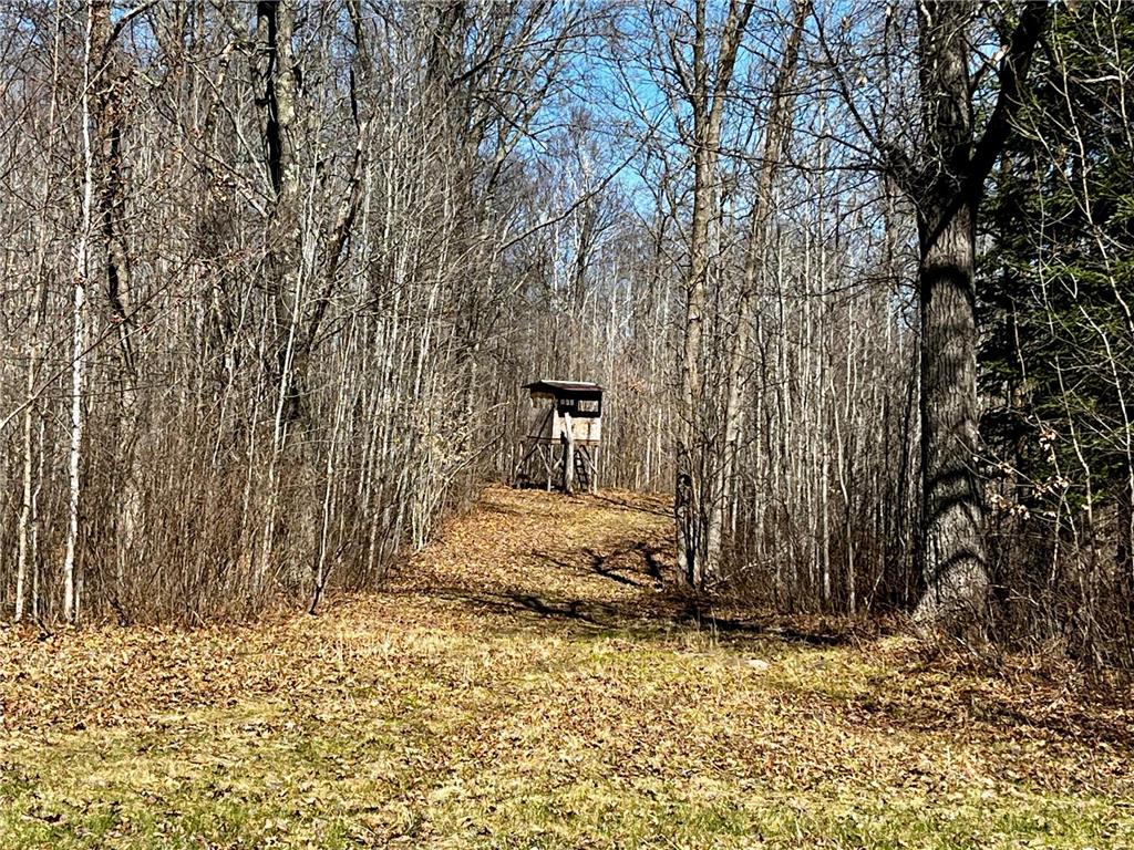 51246 Old Mill Drive Carsonville Twp MN 56570 7068904 image9