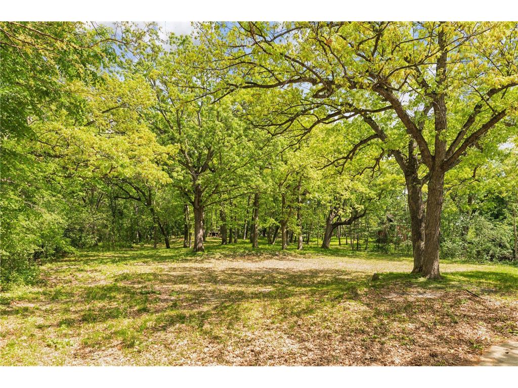 5125 Schaefer Road Edina MN 55436 7071784 image3