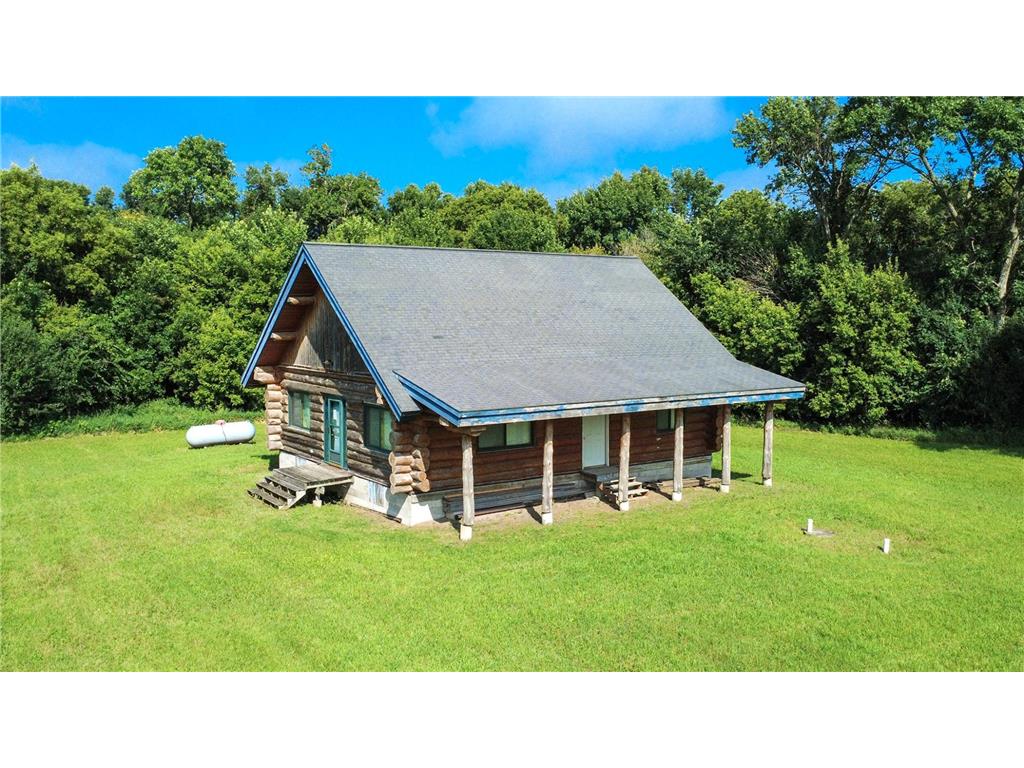 51253 120th Street Cosmos MN 56228 6765647 image1