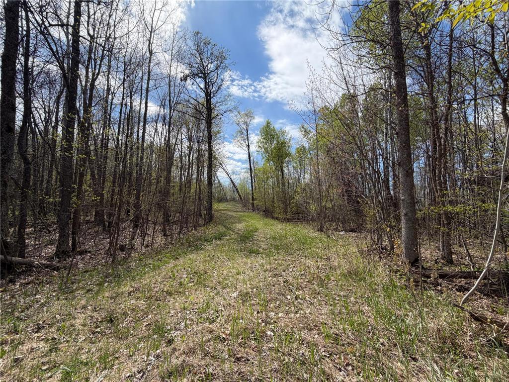 51265 Vagabond Loop Bemidji MN 56601 7049818 image1