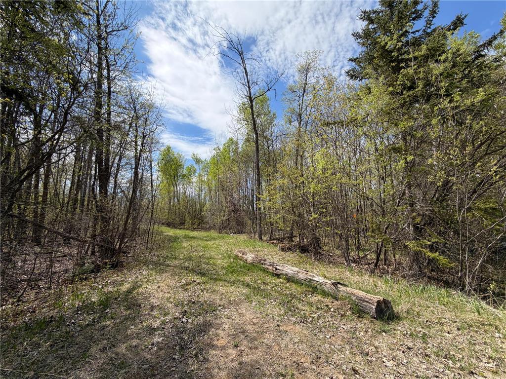 51265 Vagabond Loop Bemidji MN 56601 7049818 image2