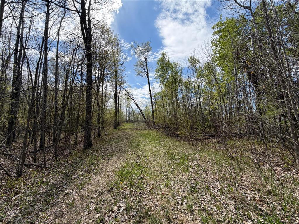 51265 Vagabond Loop Bemidji MN 56601 7049818 image3