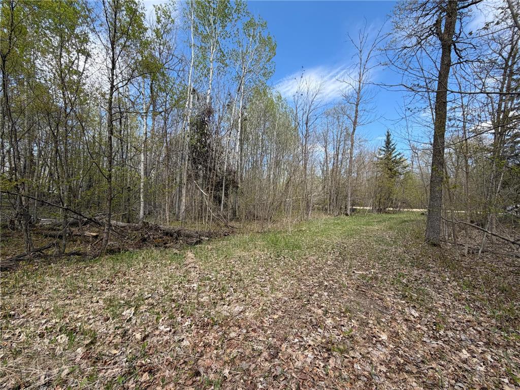 51265 Vagabond Loop Bemidji MN 56601 7049818 image4