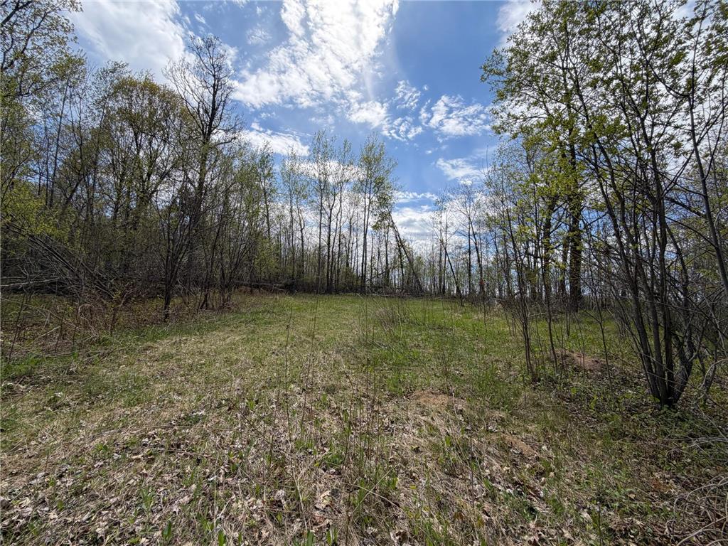 51265 Vagabond Loop Bemidji MN 56601 7049818 image6