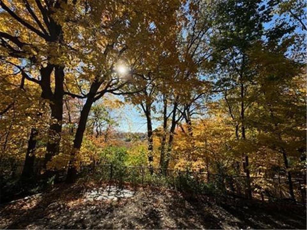 5129 Waterbury Road Mound MN 55364 - Lake Minnetonka 6786096 image10