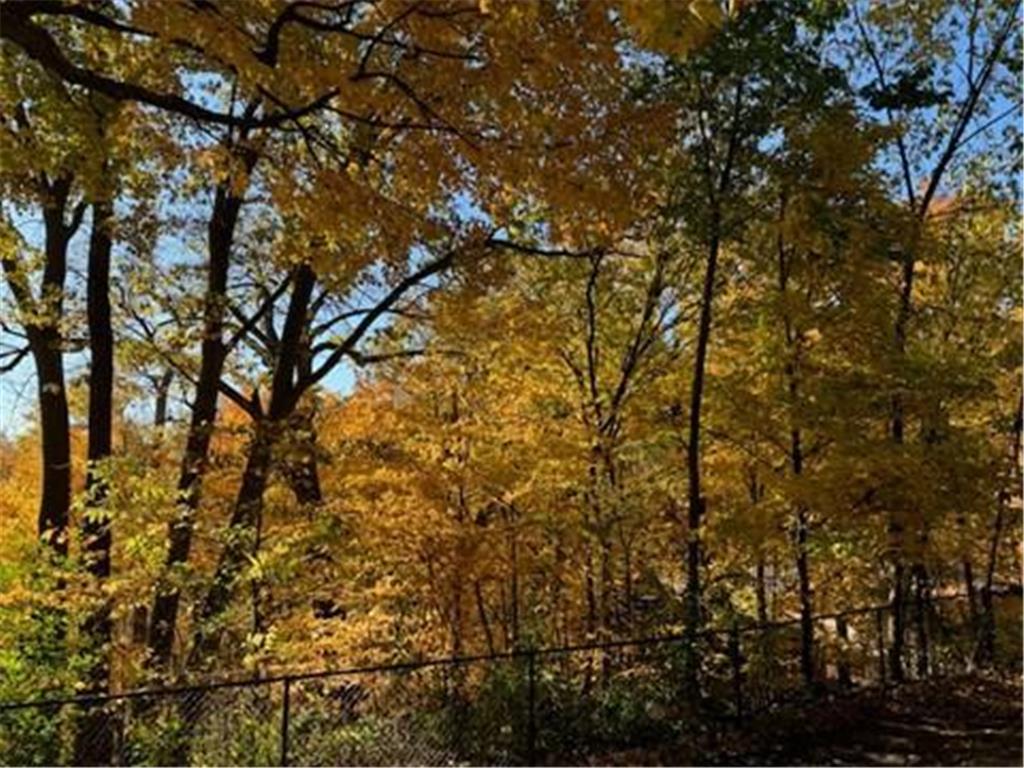 5129 Waterbury Road Mound MN 55364 - Lake Minnetonka 6786096 image11