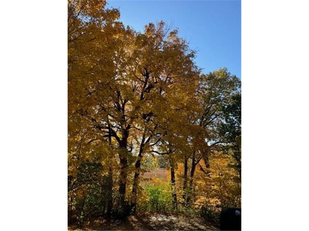 5129 Waterbury Road Mound MN 55364 - Lake Minnetonka 6786096 image9