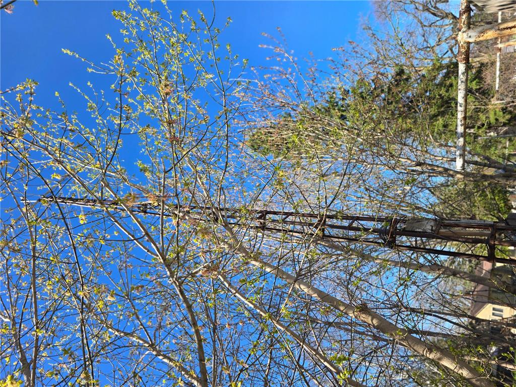 513 5th Ave Ironton MN 56455 7084807 image9