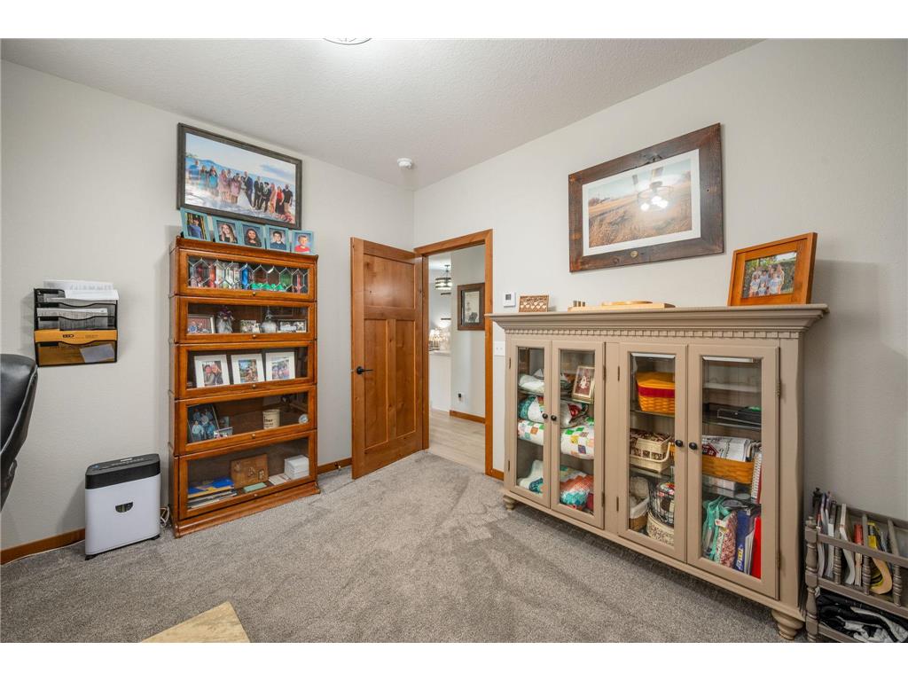 513 Harrison Street Welcome MN 56181 6819431 image28