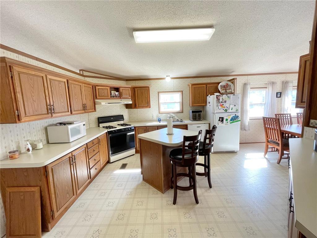 513 N Main Street Sanborn MN 56083 7076976 image10