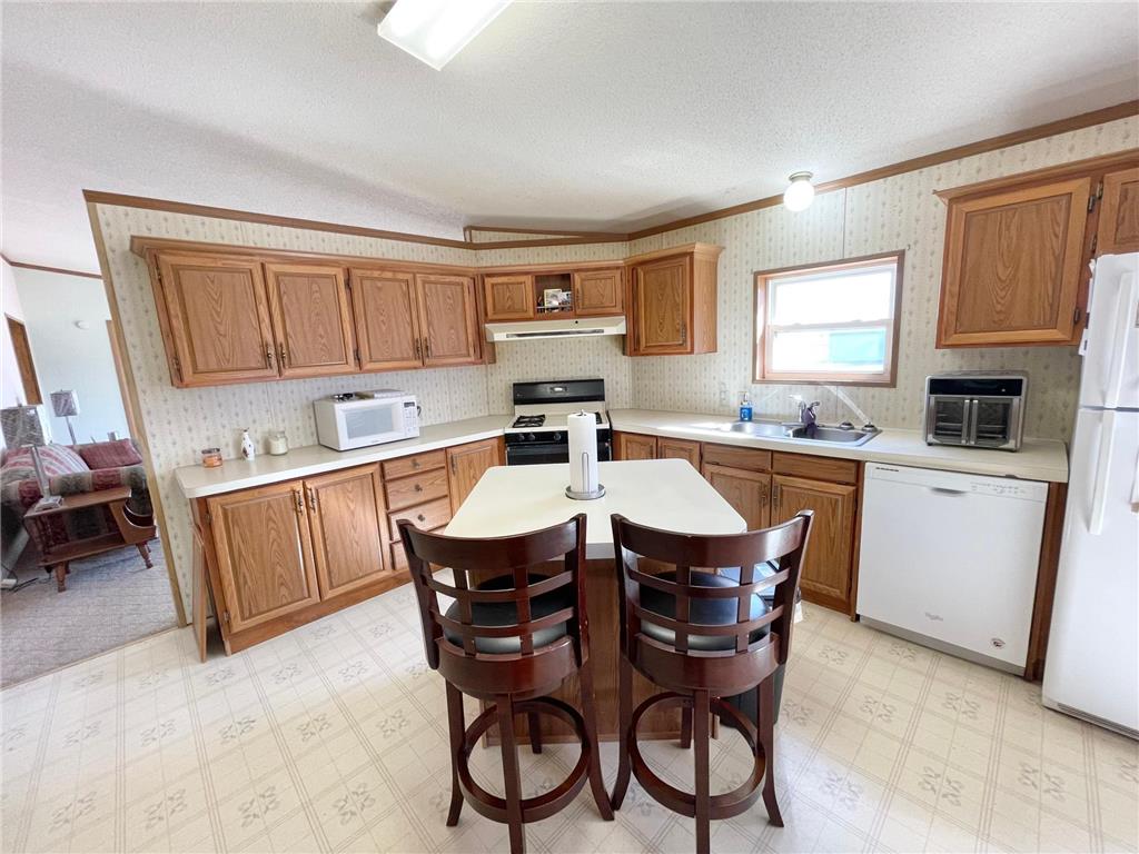 513 N Main Street Sanborn MN 56083 7076976 image12