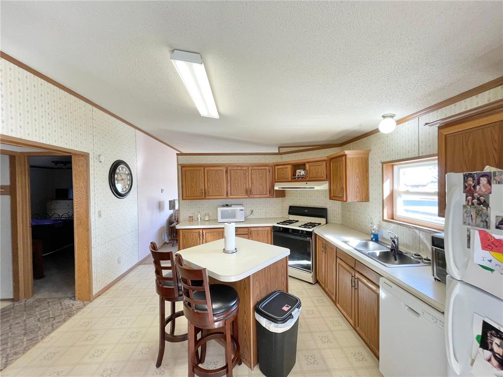 513 N Main Street Sanborn MN 56083 7076976 image13