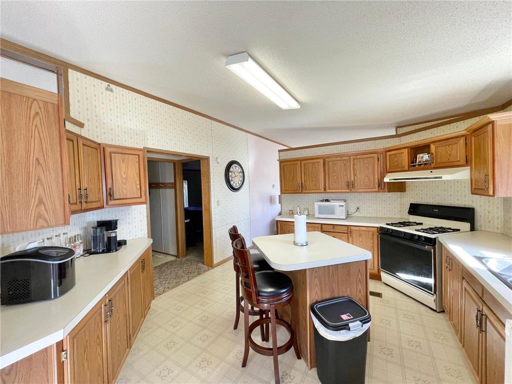 513 N Main Street Sanborn MN 56083 7076976 image14