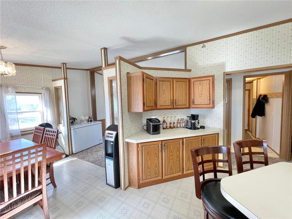 513 N Main Street Sanborn MN 56083 7076976 image16