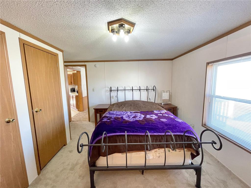 513 N Main Street Sanborn MN 56083 7076976 image24
