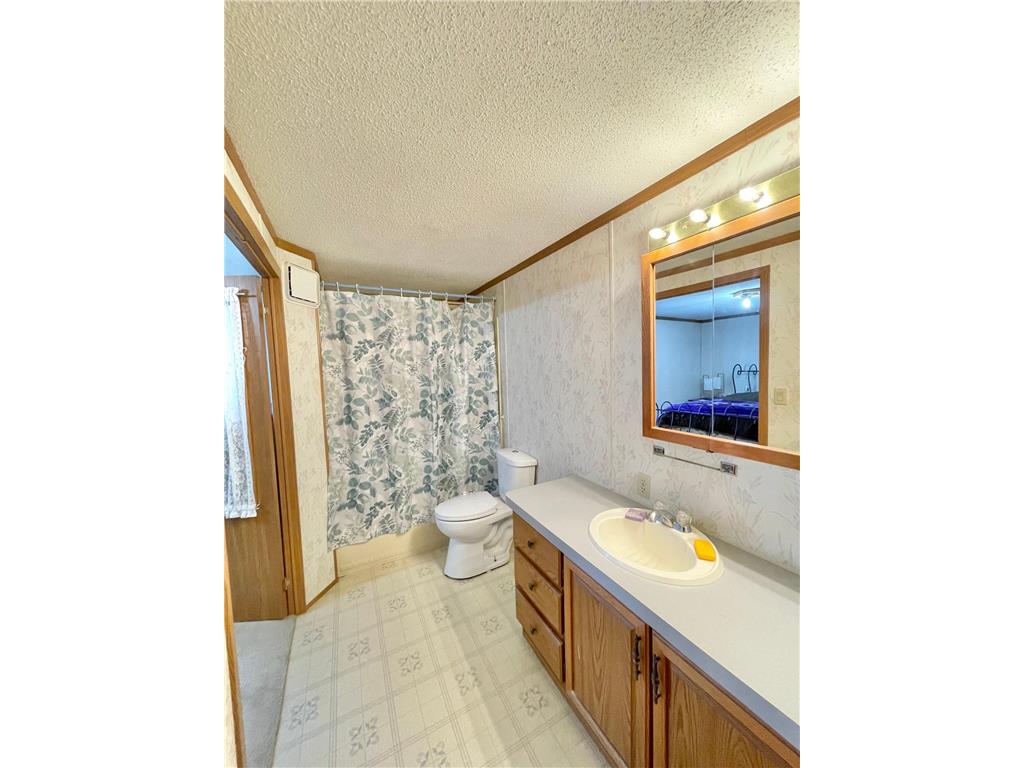 513 N Main Street Sanborn MN 56083 7076976 image27