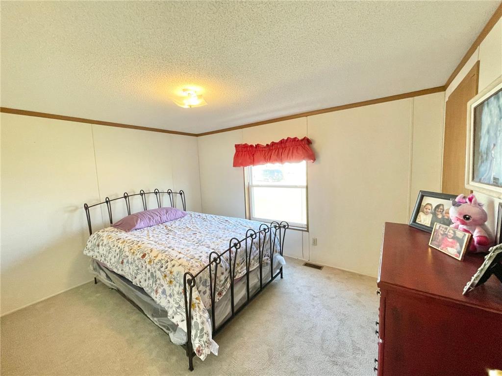 513 N Main Street Sanborn MN 56083 7076976 image28