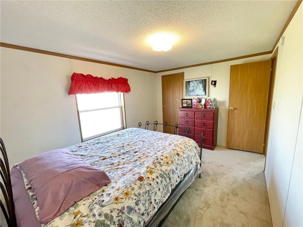 513 N Main Street Sanborn MN 56083 7076976 image29