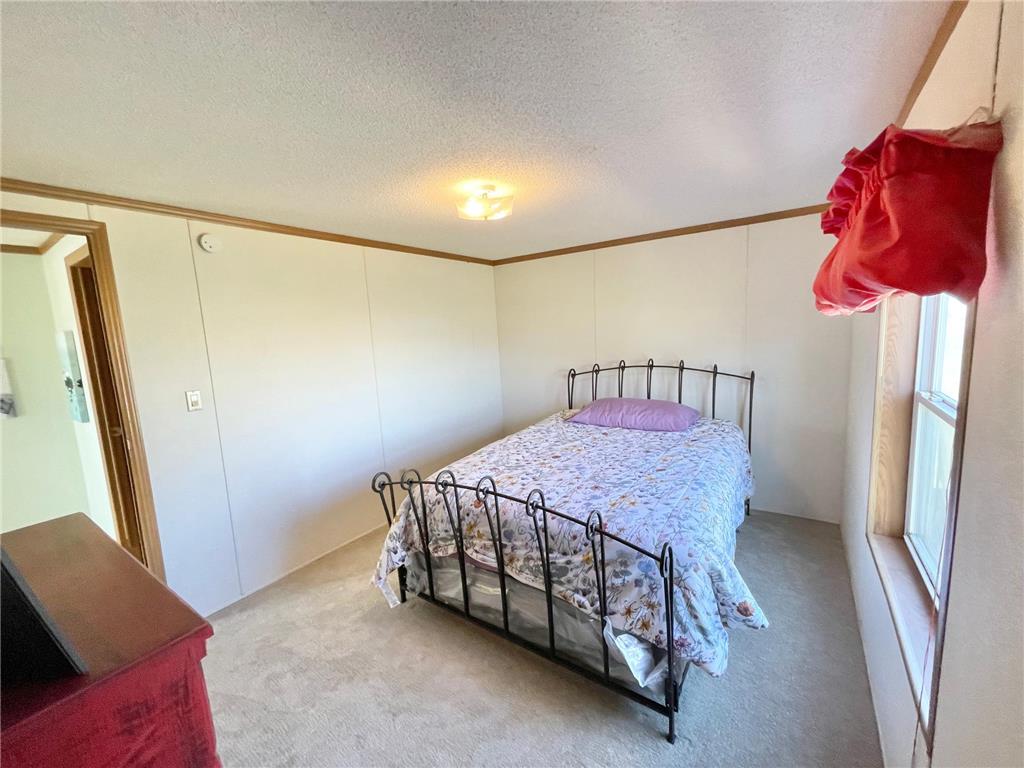 513 N Main Street Sanborn MN 56083 7076976 image30