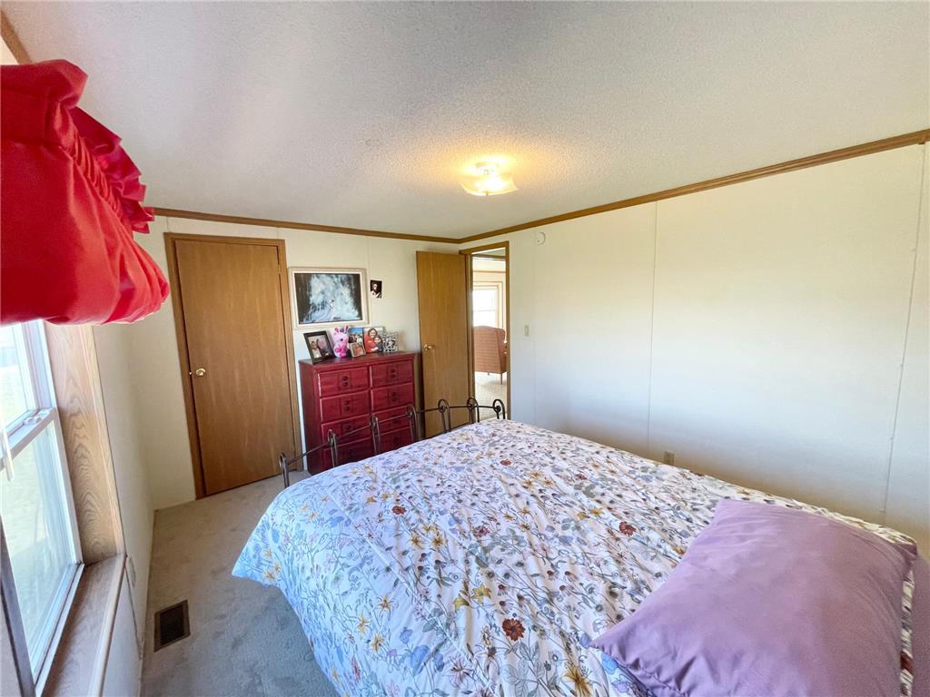 513 N Main Street Sanborn MN 56083 7076976 image31
