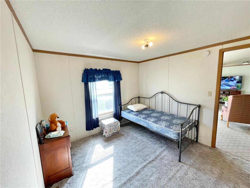 513 N Main Street Sanborn MN 56083 7076976 image33