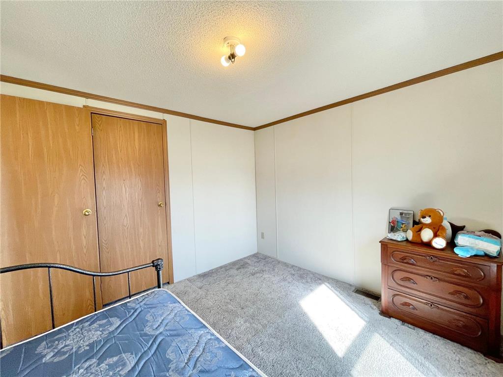 513 N Main Street Sanborn MN 56083 7076976 image35
