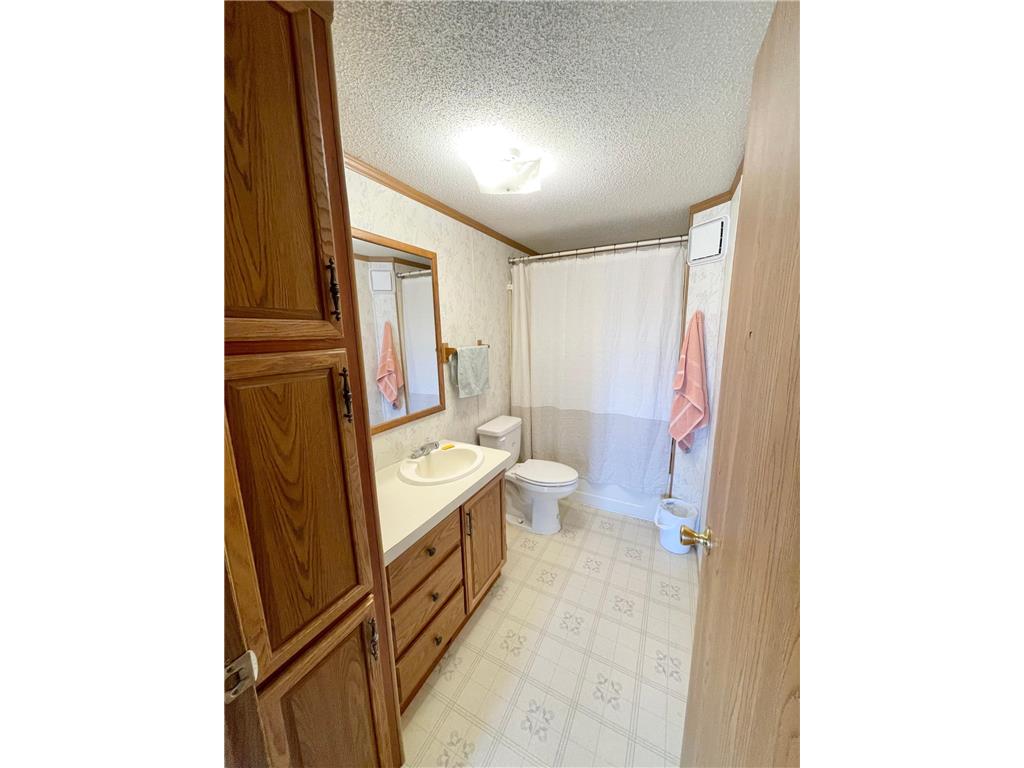 513 N Main Street Sanborn MN 56083 7076976 image36