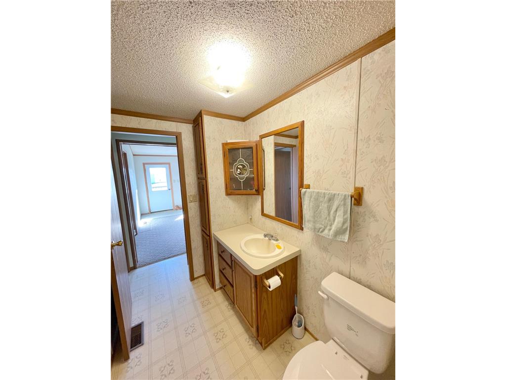 513 N Main Street Sanborn MN 56083 7076976 image38