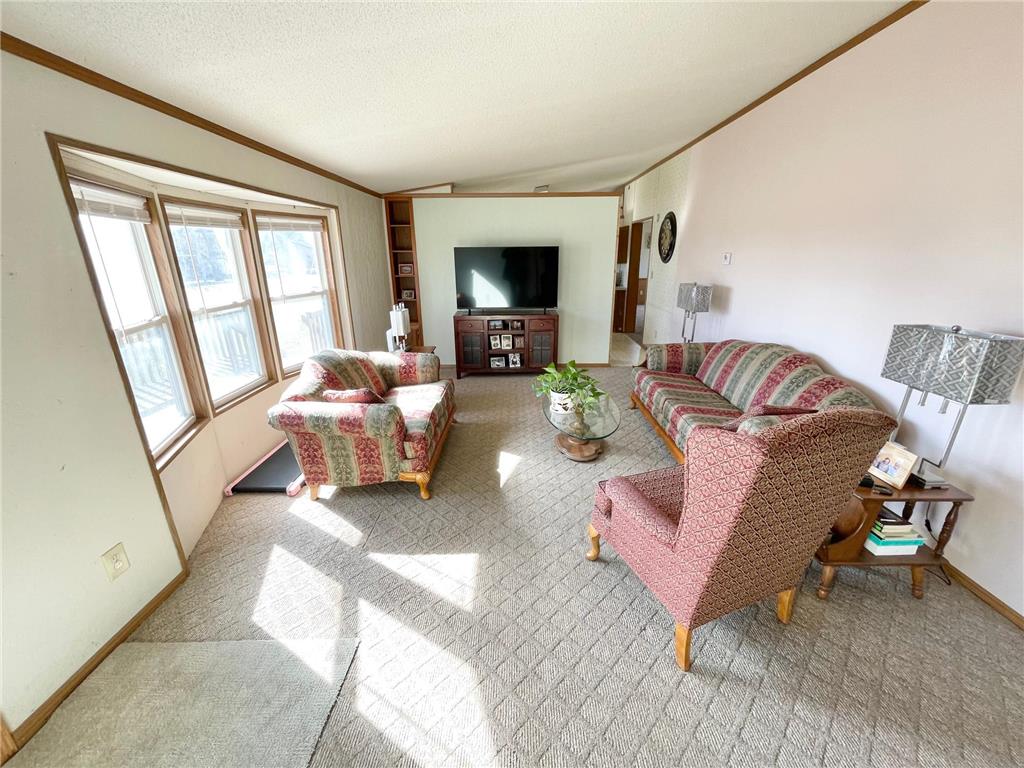 513 N Main Street Sanborn MN 56083 7076976 image4