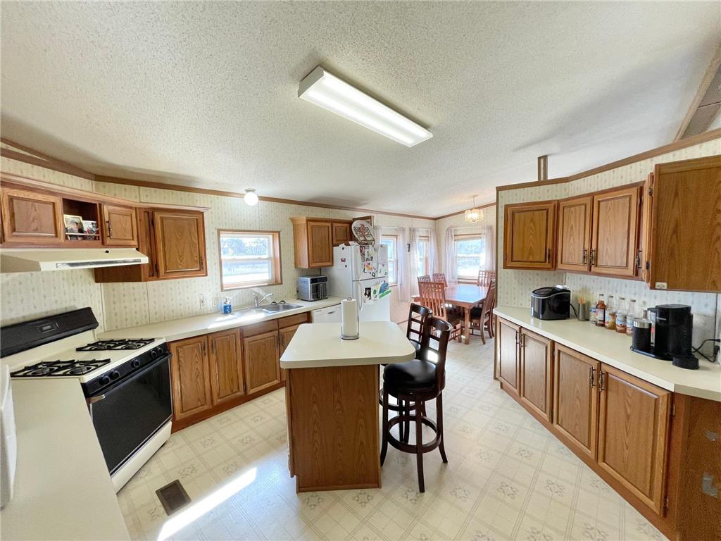 513 N Main Street Sanborn MN 56083 7076976 image9