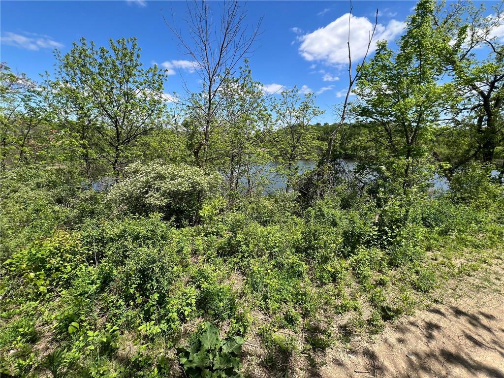 513 Old Bench Street Red Wing MN 55066 7079146 image3