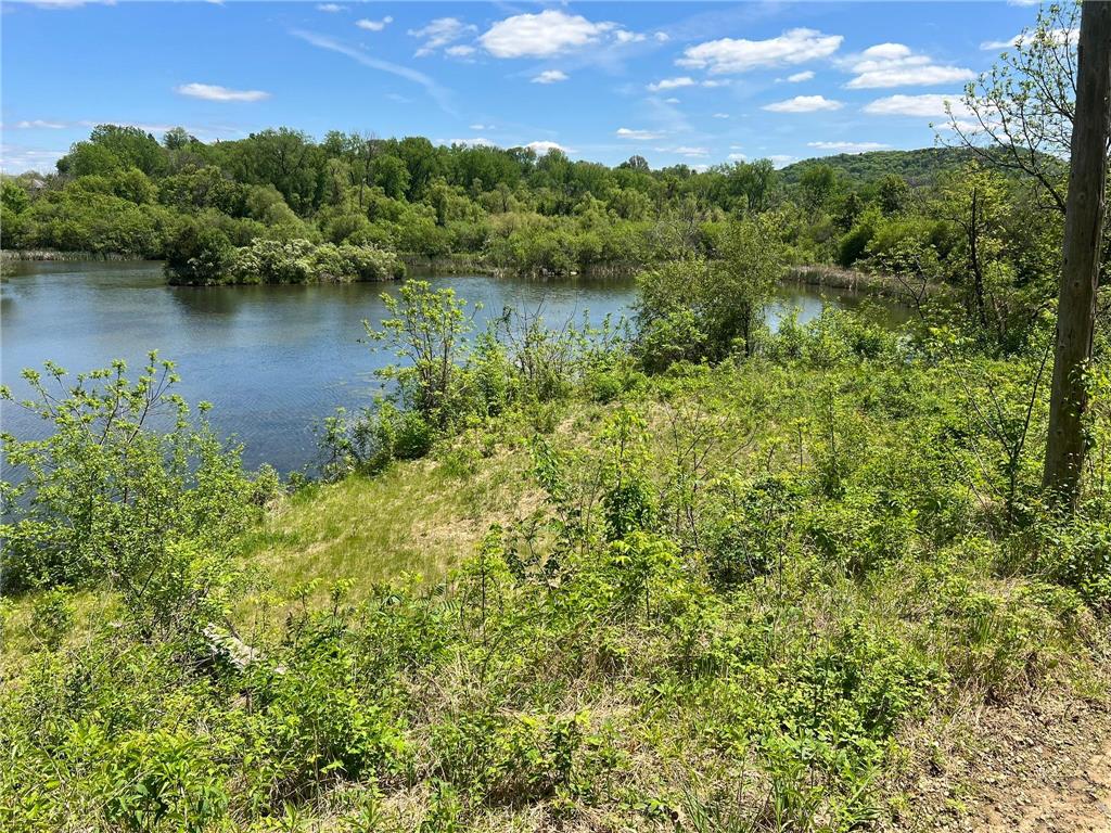 513 Old Bench Street Red Wing MN 55066 7079146 image7